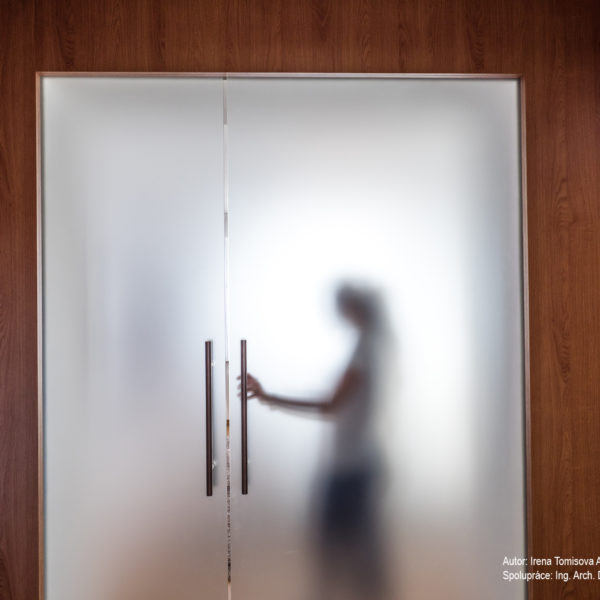 Skleněné dveře dle návrhu od designéra Brno